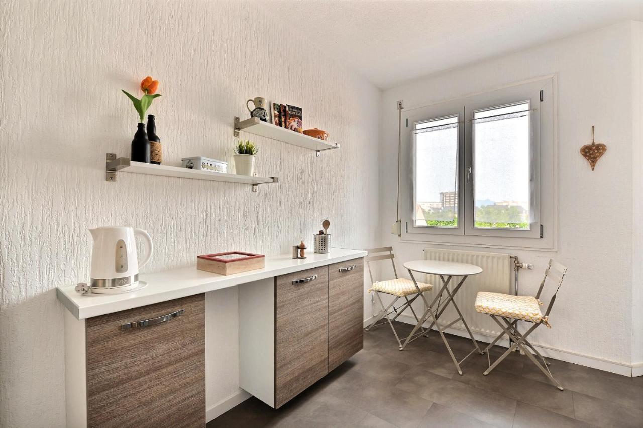 Apartamento Le Petit Nid De Max Et Sophie 1Free Garage Colmar Exterior foto