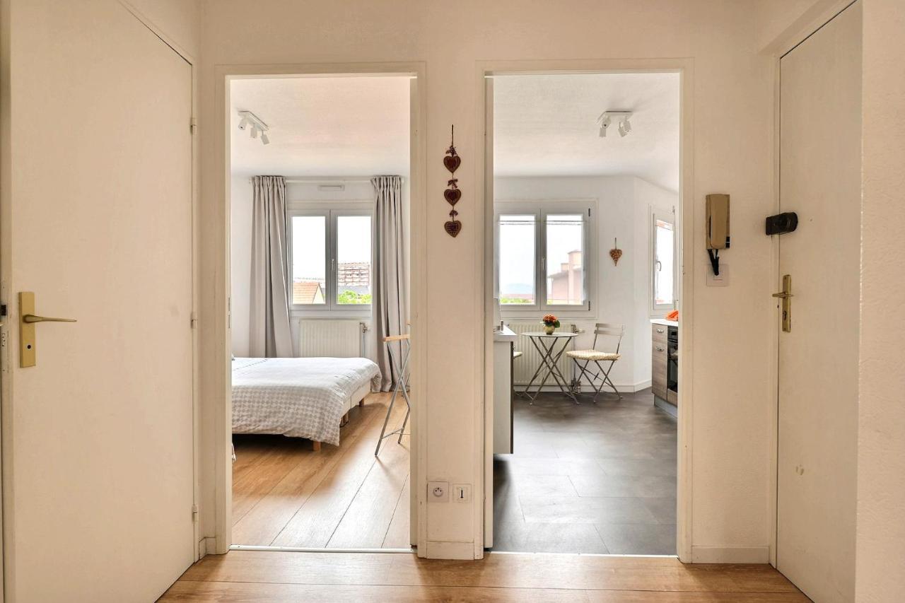 Apartamento Le Petit Nid De Max Et Sophie 1Free Garage Colmar Exterior foto